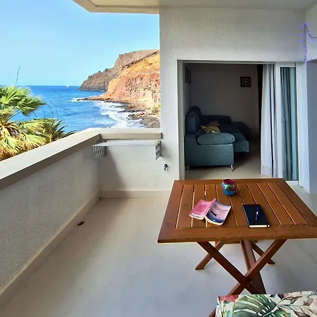 Live Gaviotas Ocean Vibe *