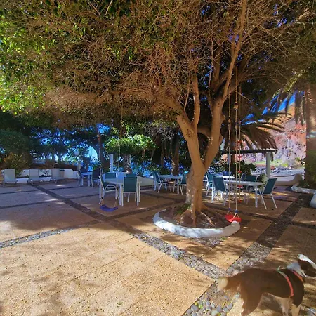 Apartment Live Gaviotas Ocean Vibe